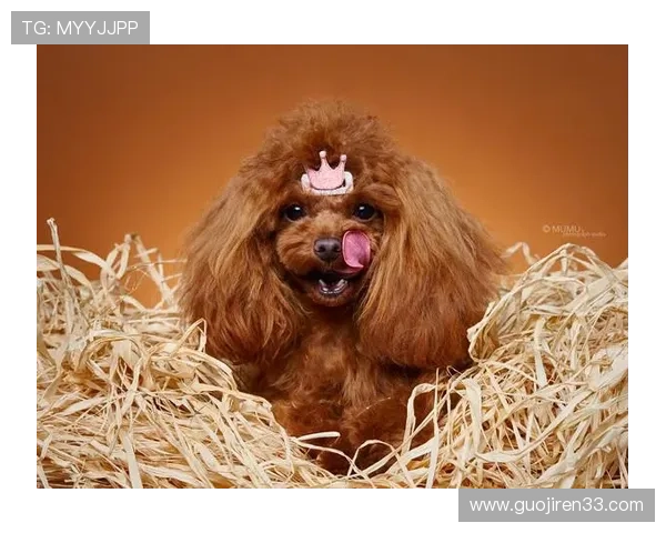 动物总动员直播：萌宠齐聚欢乐大联欢